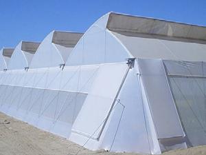 鋼架大棚選址的時候要注意什么？